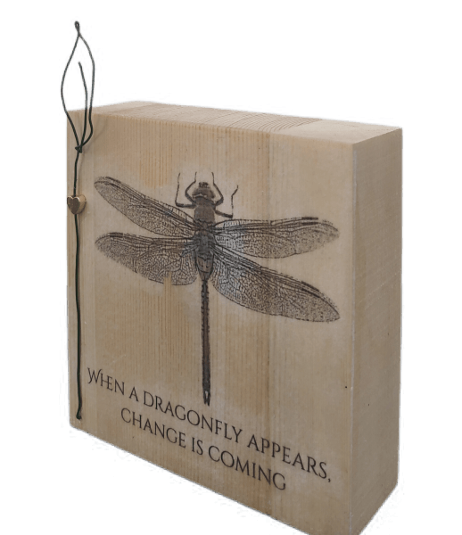 היצירה מוכנה תמונה 2